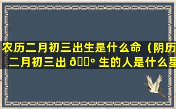 农历二月初三出生是什么命（阴历二月初三出 🐺 生的人是什么星座）